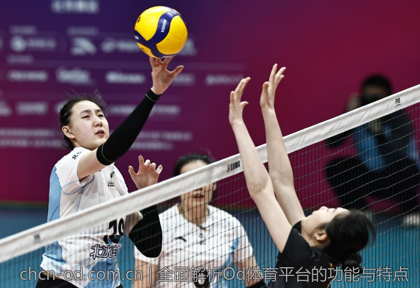 全面解析Od体育平台的功能与特点
